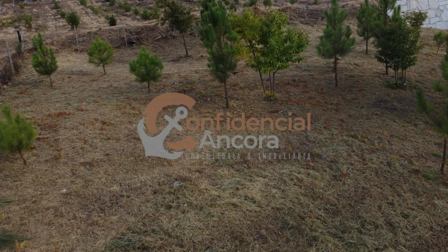 Terreno para Venda em Folgosinho Foto 25