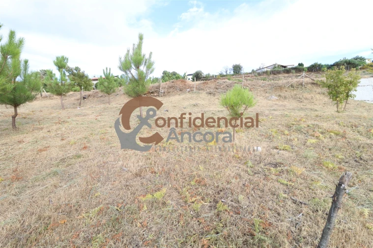 Terreno para Venda em Folgosinho Foto 5