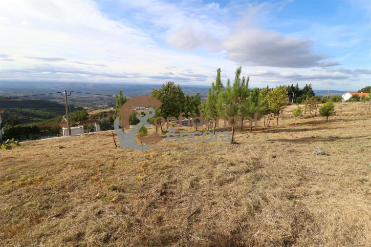 Terreno para Venda em Folgosinho Foto 13