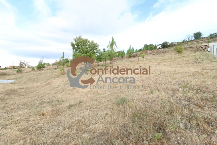 Terreno para Venda em Folgosinho Foto 4