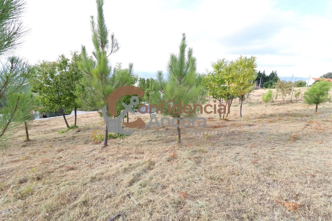 Terreno para Venda em Folgosinho Foto 6