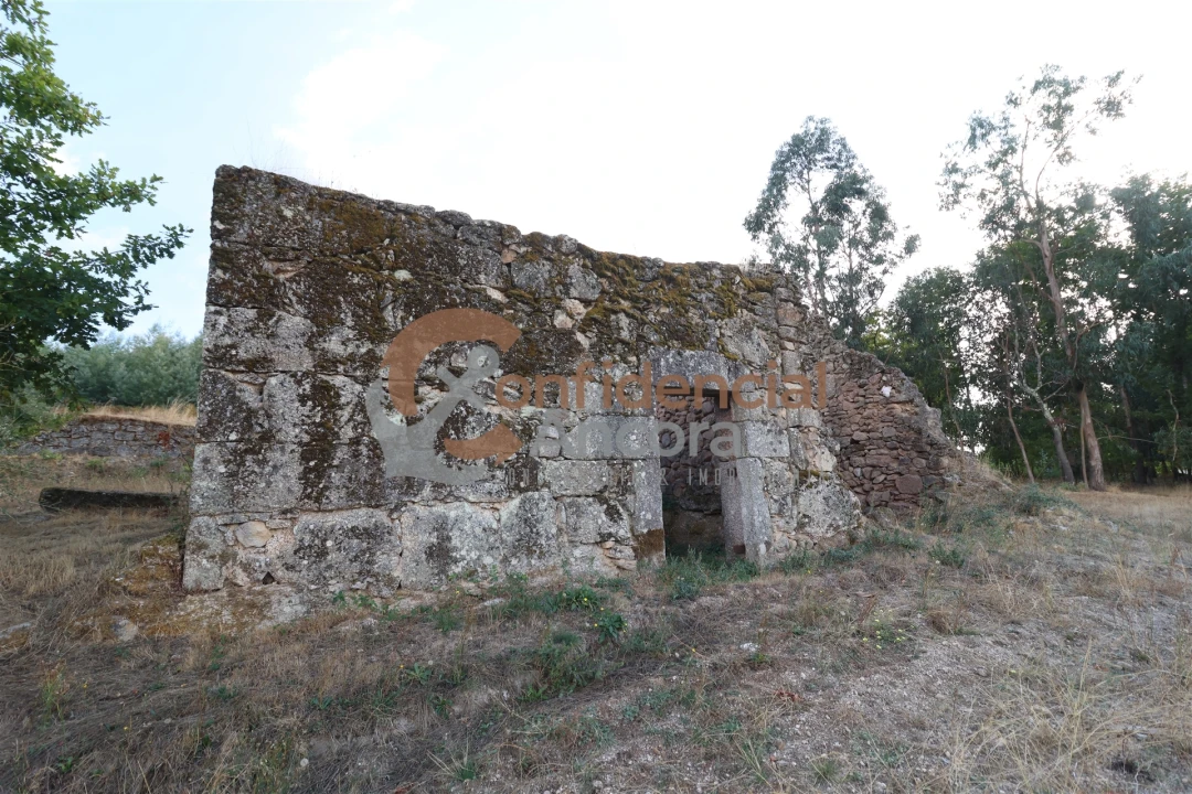 Quinta T0 para Venda em Moimenta da Serra e Vinhó Foto 15