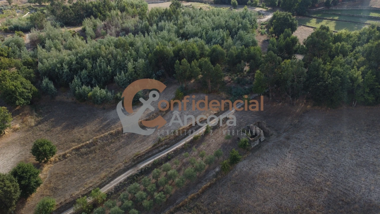 Quinta T0 para Venda em Moimenta da Serra e Vinhó Foto 30