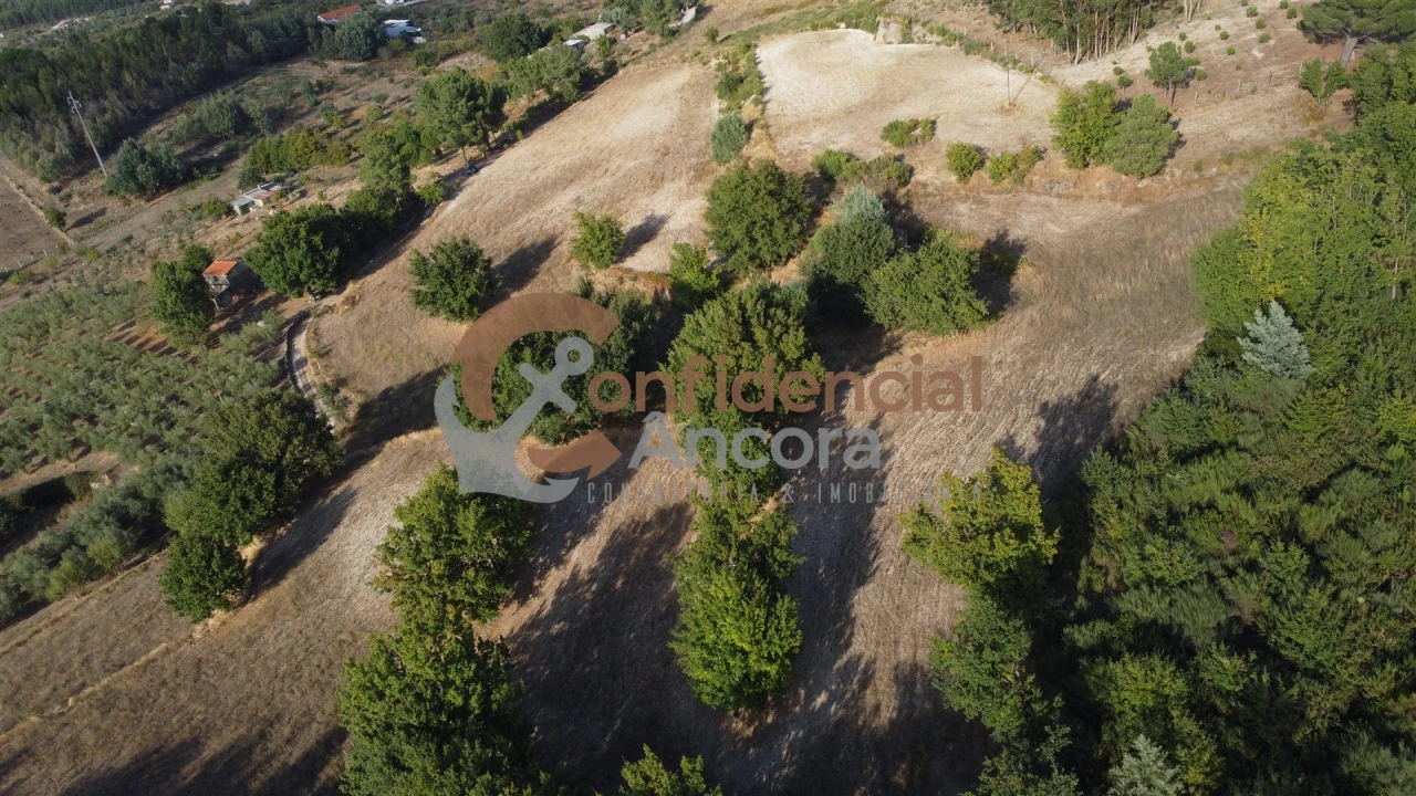 Quinta T0 para Venda em Moimenta da Serra e Vinhó Foto 38