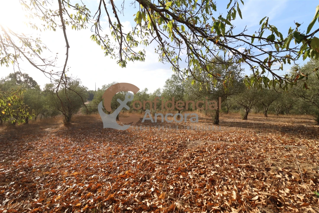 Quinta T0 para Venda em Moimenta da Serra e Vinhó Foto 4