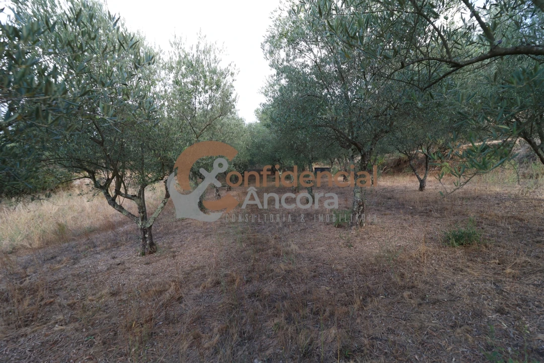 Quinta T0 para Venda em Moimenta da Serra e Vinhó Foto 16