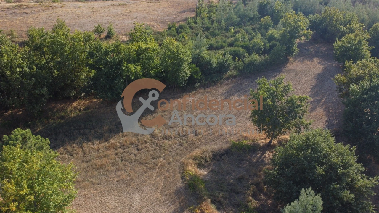 Quinta T0 para Venda em Moimenta da Serra e Vinhó Foto 21