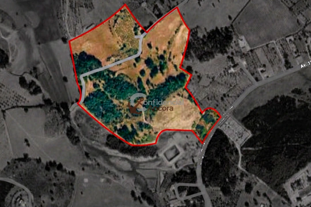 Quinta T0 para Venda em Moimenta da Serra e Vinhó Foto 49