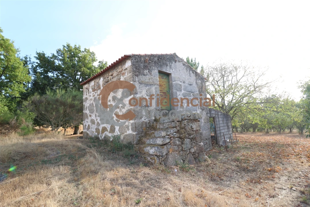 Quinta T0 para Venda em Moimenta da Serra e Vinhó Foto 7