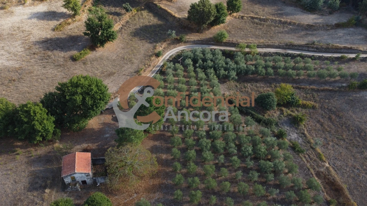 Quinta T0 para Venda em Moimenta da Serra e Vinhó Foto 28