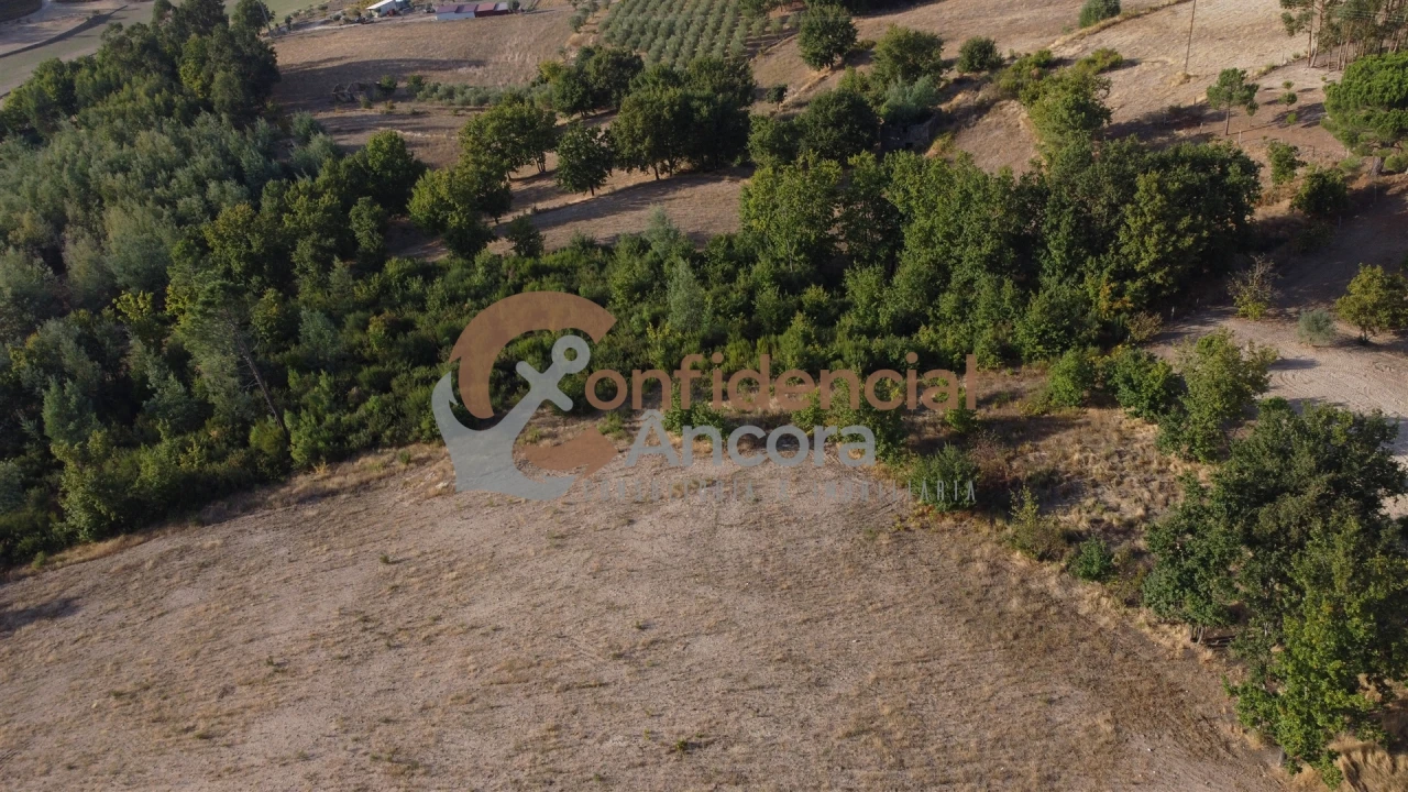 Quinta T0 para Venda em Moimenta da Serra e Vinhó Foto 41