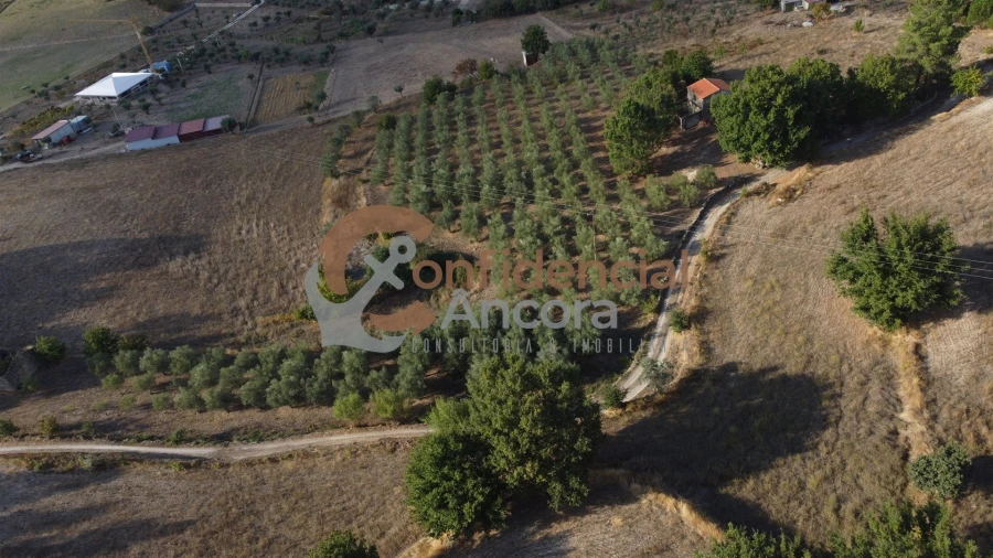 Quinta T0 para Venda em Moimenta da Serra e Vinhó Foto 27