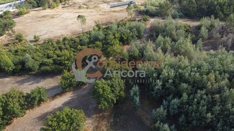 Quinta T0 para Venda em Moimenta da Serra e Vinhó Foto 32