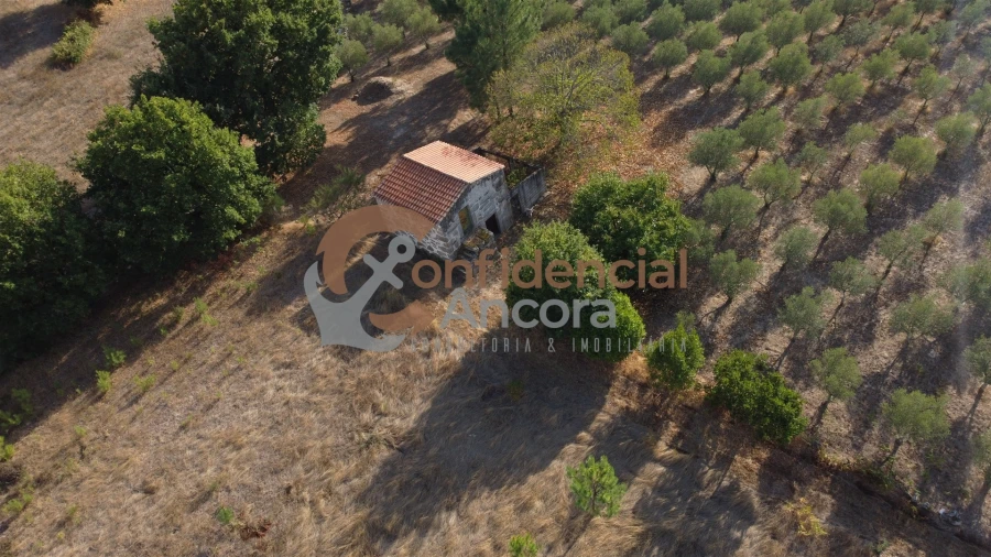 Quinta T0 para Venda em Moimenta da Serra e Vinhó