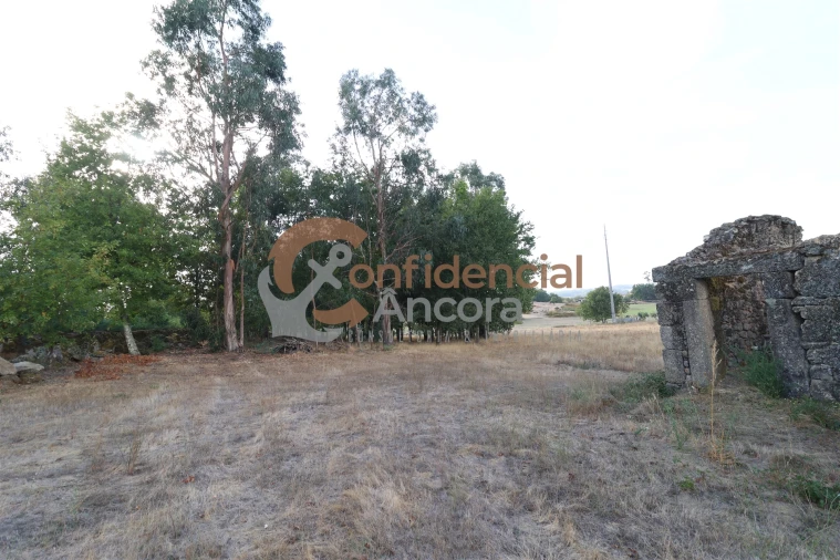 Quinta T0 para Venda em Moimenta da Serra e Vinhó Foto 13