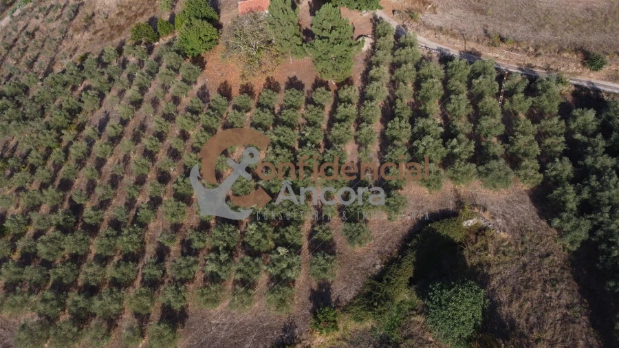 Quinta T0 para Venda em Moimenta da Serra e Vinhó Foto 48