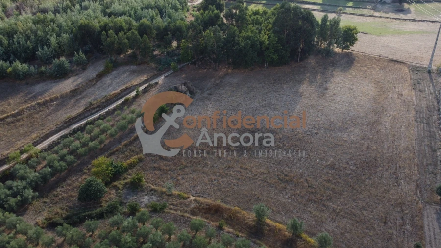 Quinta T0 para Venda em Moimenta da Serra e Vinhó Foto 29