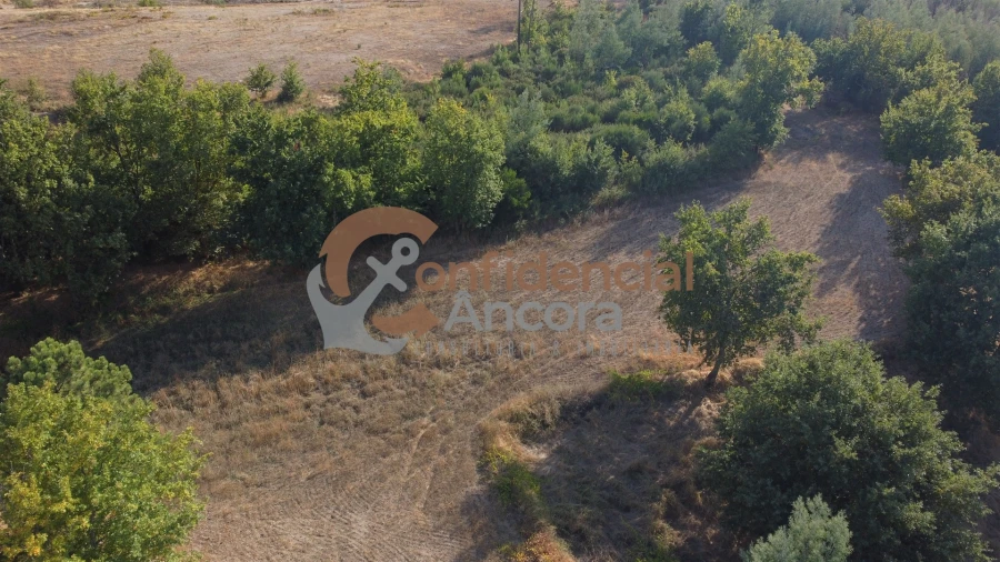 Quinta T0 para Venda em Moimenta da Serra e Vinhó Foto 21