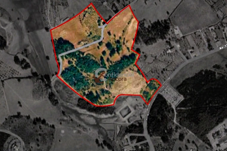 Quinta T0 para Venda em Moimenta da Serra e Vinhó Foto 49