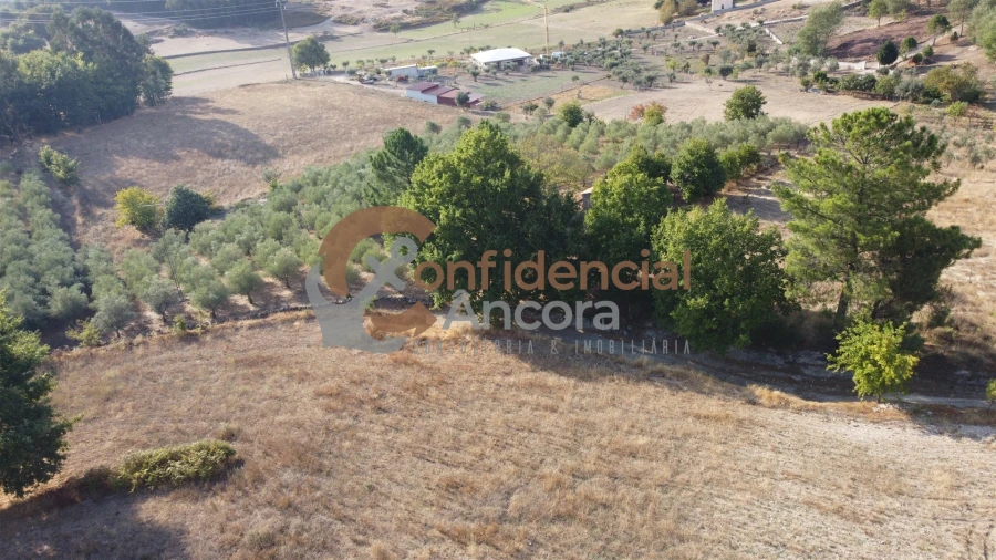 Quinta T0 para Venda em Moimenta da Serra e Vinhó Foto 45