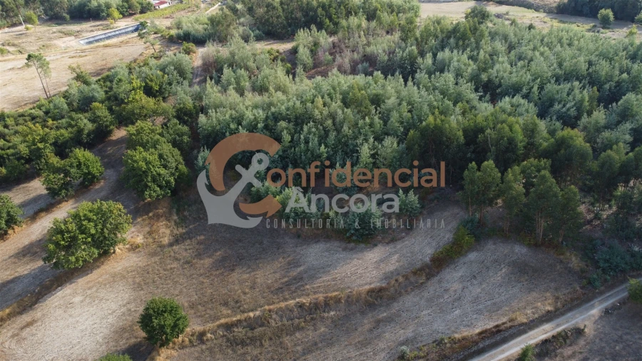 Quinta T0 para Venda em Moimenta da Serra e Vinhó Foto 31