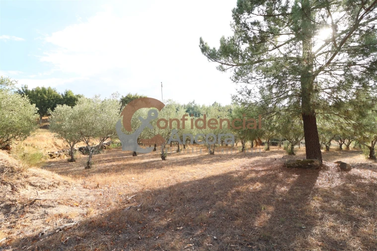 Quinta T0 para Venda em Moimenta da Serra e Vinhó Foto 3