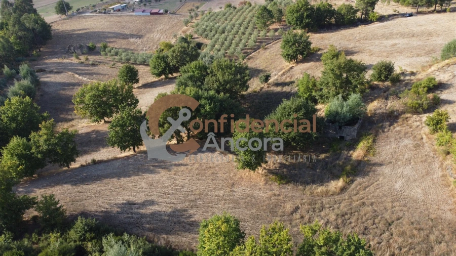 Quinta T0 para Venda em Moimenta da Serra e Vinhó Foto 24