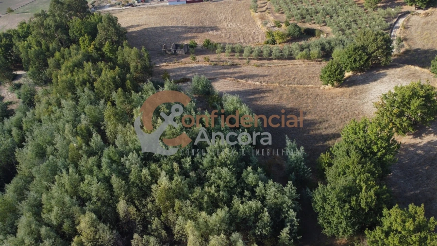 Quinta T0 para Venda em Moimenta da Serra e Vinhó Foto 37