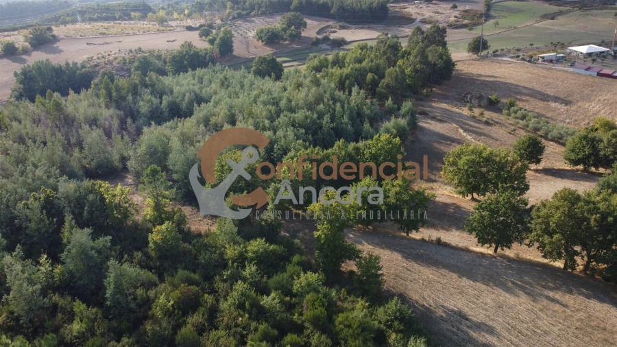 Quinta T0 para Venda em Moimenta da Serra e Vinhó Foto 23