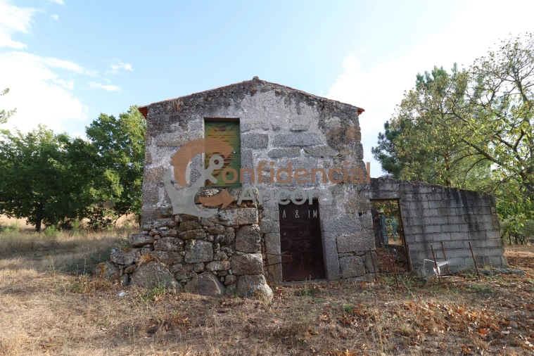 Quinta T0 para Venda em Moimenta da Serra e Vinhó Foto 6