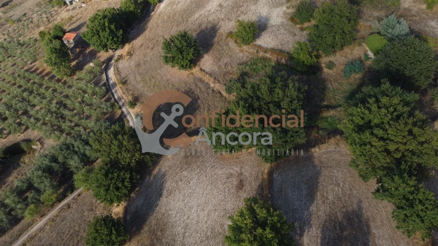 Quinta T0 para Venda em Moimenta da Serra e Vinhó Foto 35