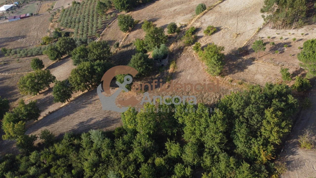 Quinta T0 para Venda em Moimenta da Serra e Vinhó Foto 42
