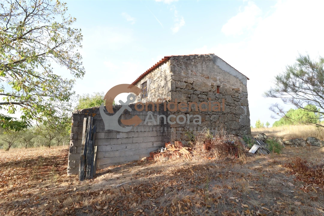 Quinta T0 para Venda em Moimenta da Serra e Vinhó Foto 2
