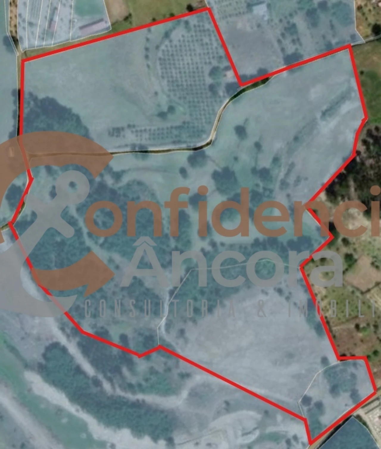 Quinta T0 para Venda em Moimenta da Serra e Vinhó Foto 18