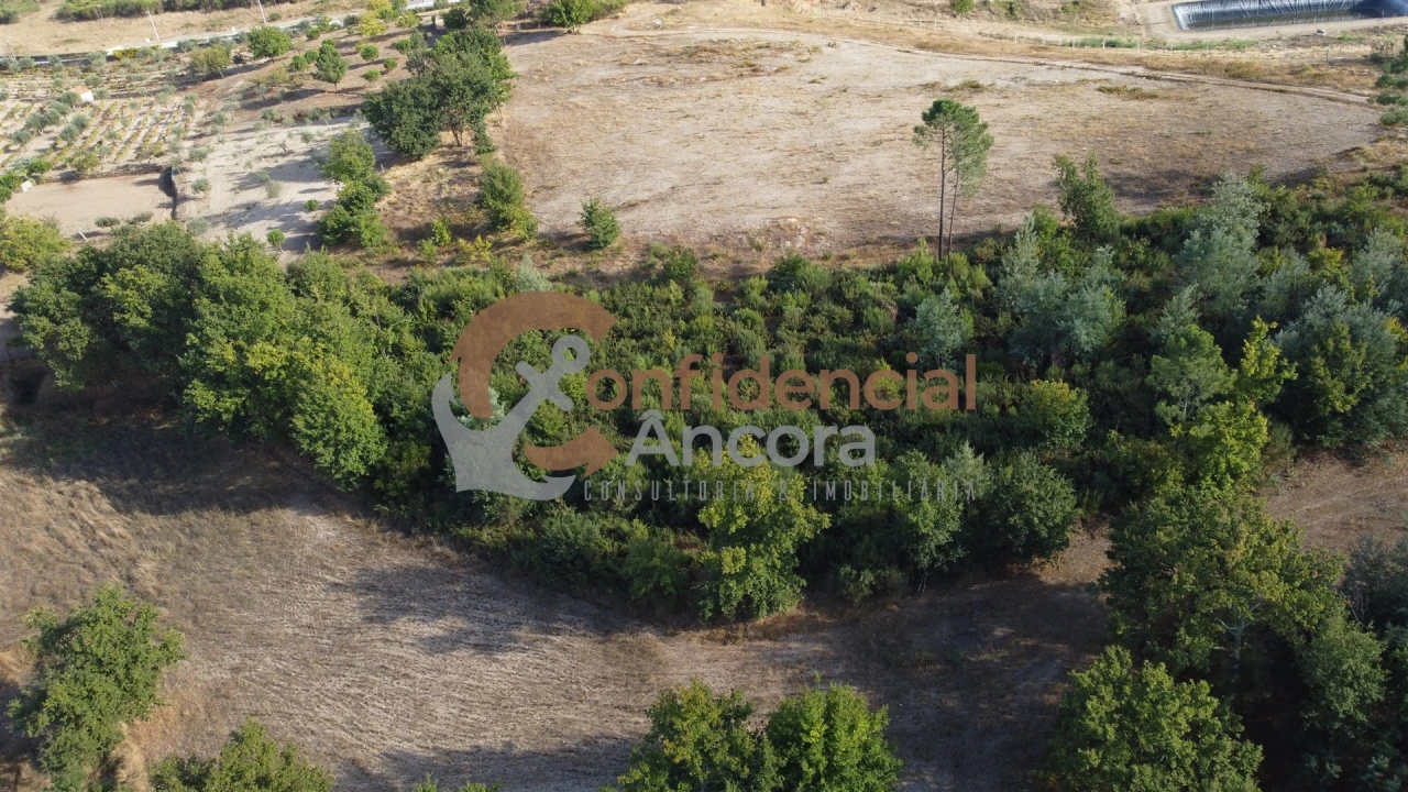 Quinta T0 para Venda em Moimenta da Serra e Vinhó Foto 33