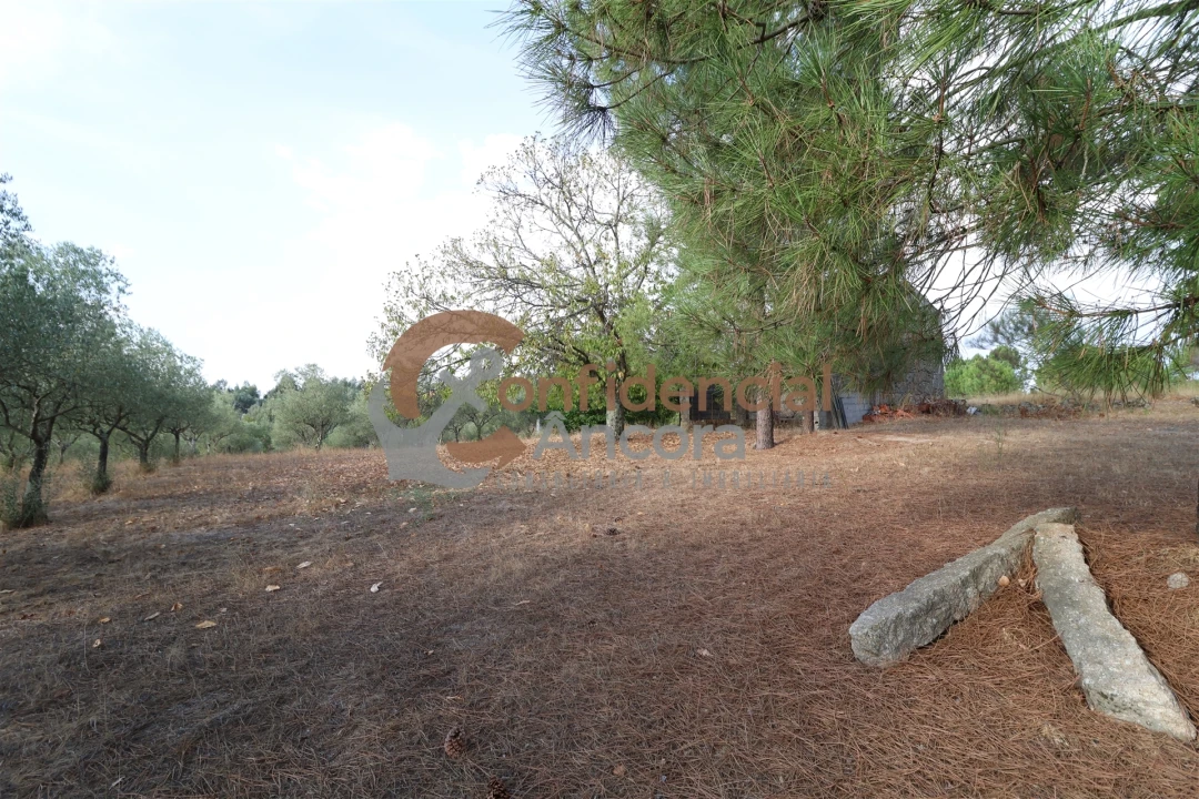 Quinta T0 para Venda em Moimenta da Serra e Vinhó Foto 10