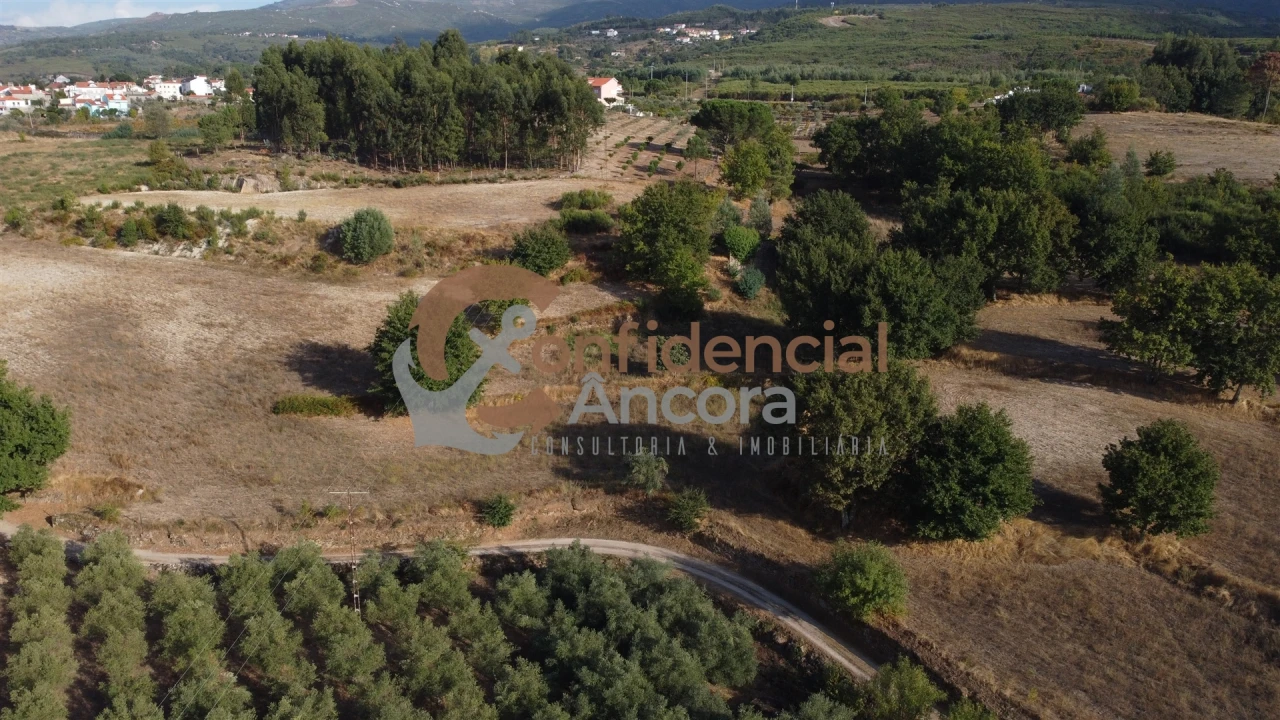 Quinta T0 para Venda em Moimenta da Serra e Vinhó Foto 47