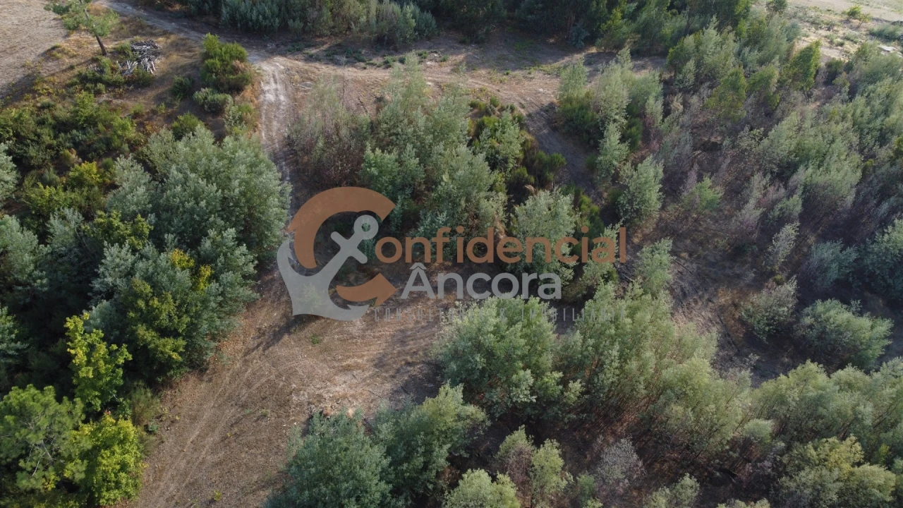 Quinta T0 para Venda em Moimenta da Serra e Vinhó Foto 36