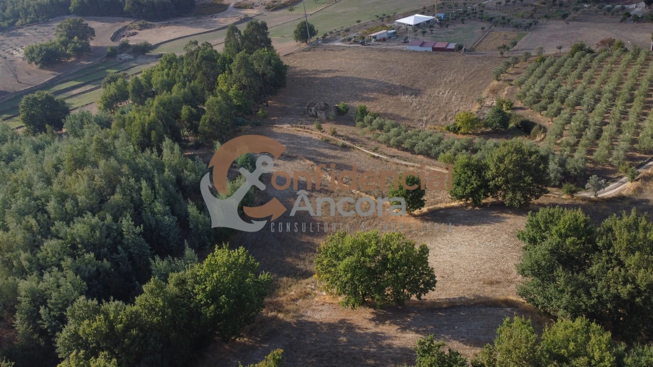 Quinta T0 para Venda em Moimenta da Serra e Vinhó Foto 26