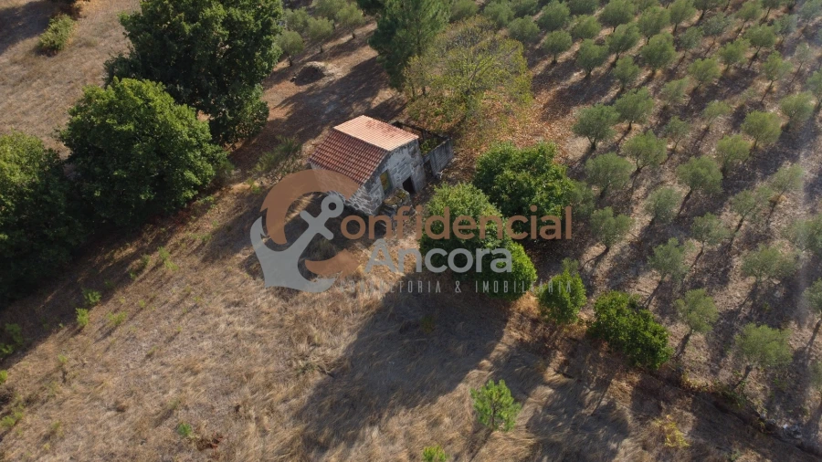 Quinta T0 para Venda em Moimenta da Serra e Vinhó