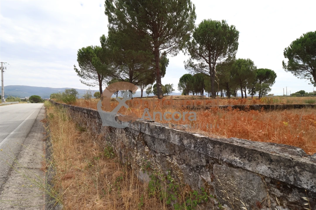 Terreno para Venda em Rio Torto e Lagarinhos Foto 24