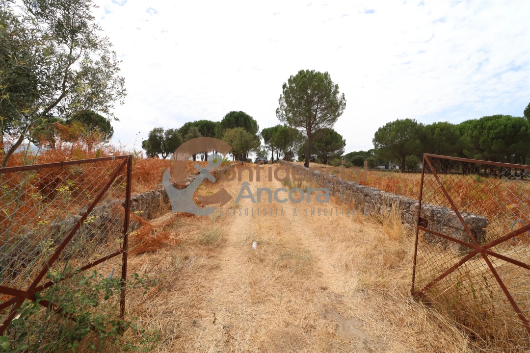 Terreno para Venda em Rio Torto e Lagarinhos Foto 35