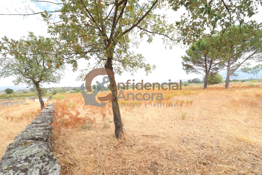 Terreno para Venda em Rio Torto e Lagarinhos Foto 3