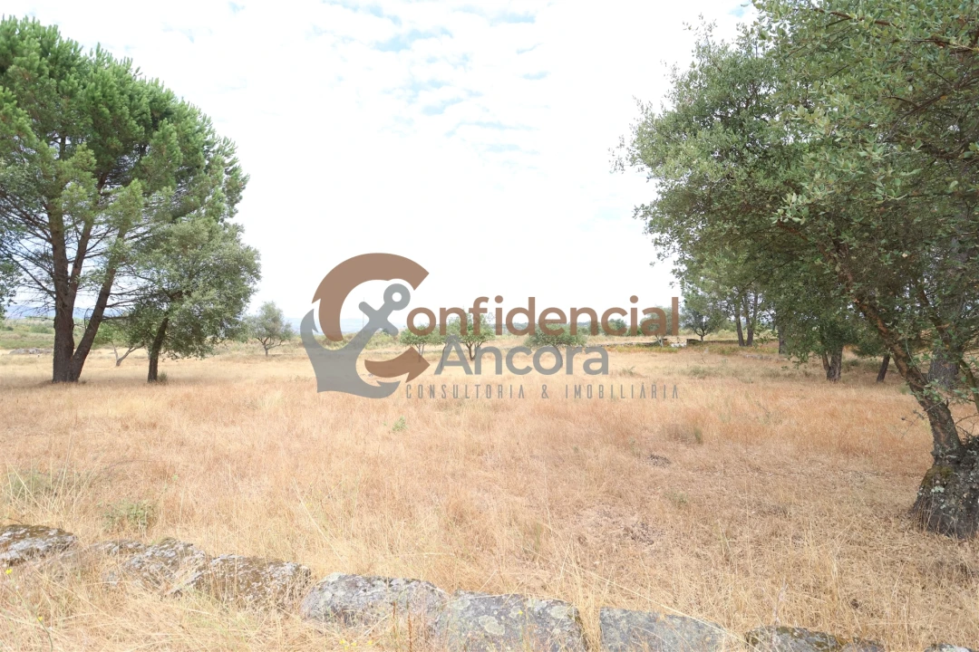 Terreno para Venda em Rio Torto e Lagarinhos Foto 14