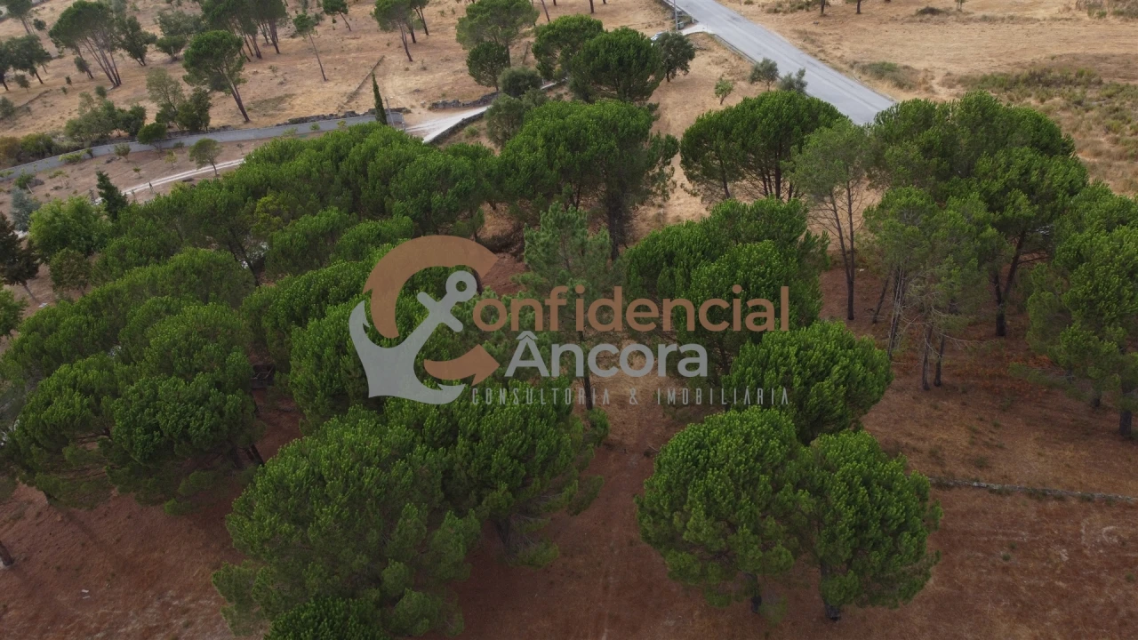 Terreno para Venda em Rio Torto e Lagarinhos Foto 60