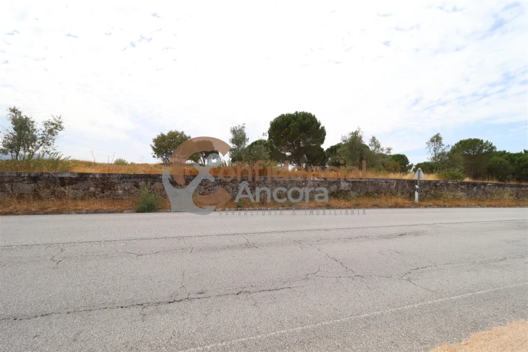 Terreno para Venda em Rio Torto e Lagarinhos Foto 29