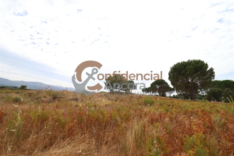 Terreno para Venda em Rio Torto e Lagarinhos Foto 31