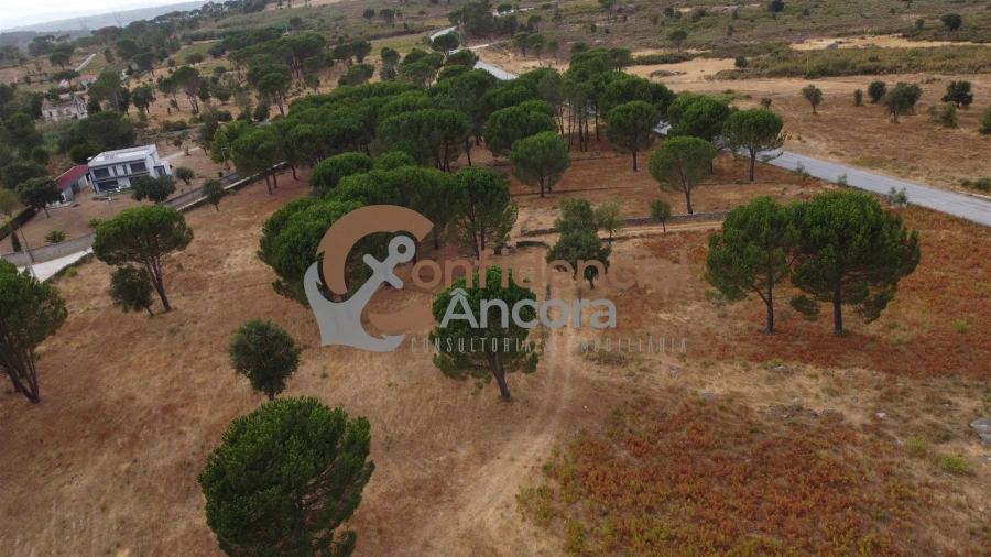 Terreno para Venda em Rio Torto e Lagarinhos Foto 59