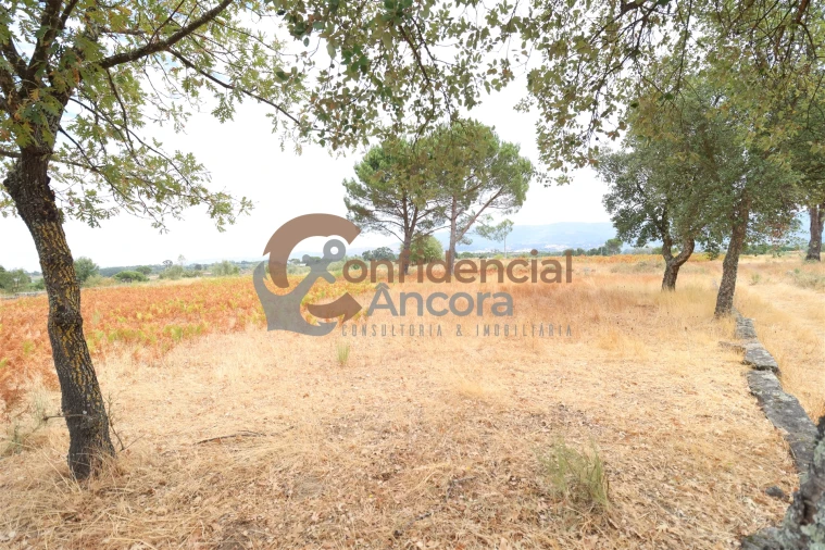 Terreno para Venda em Rio Torto e Lagarinhos Foto 2