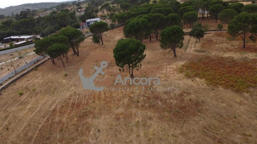 Terreno para Venda em Rio Torto e Lagarinhos Foto 58